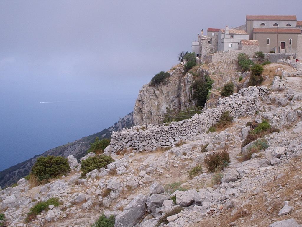 P8250164.JPG